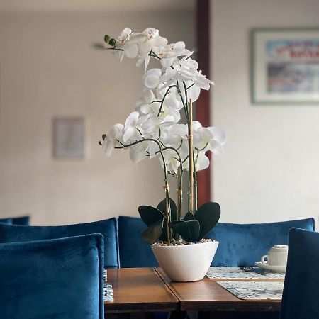 Hotel Le Pasteur ロワイヤン エクステリア 写真
